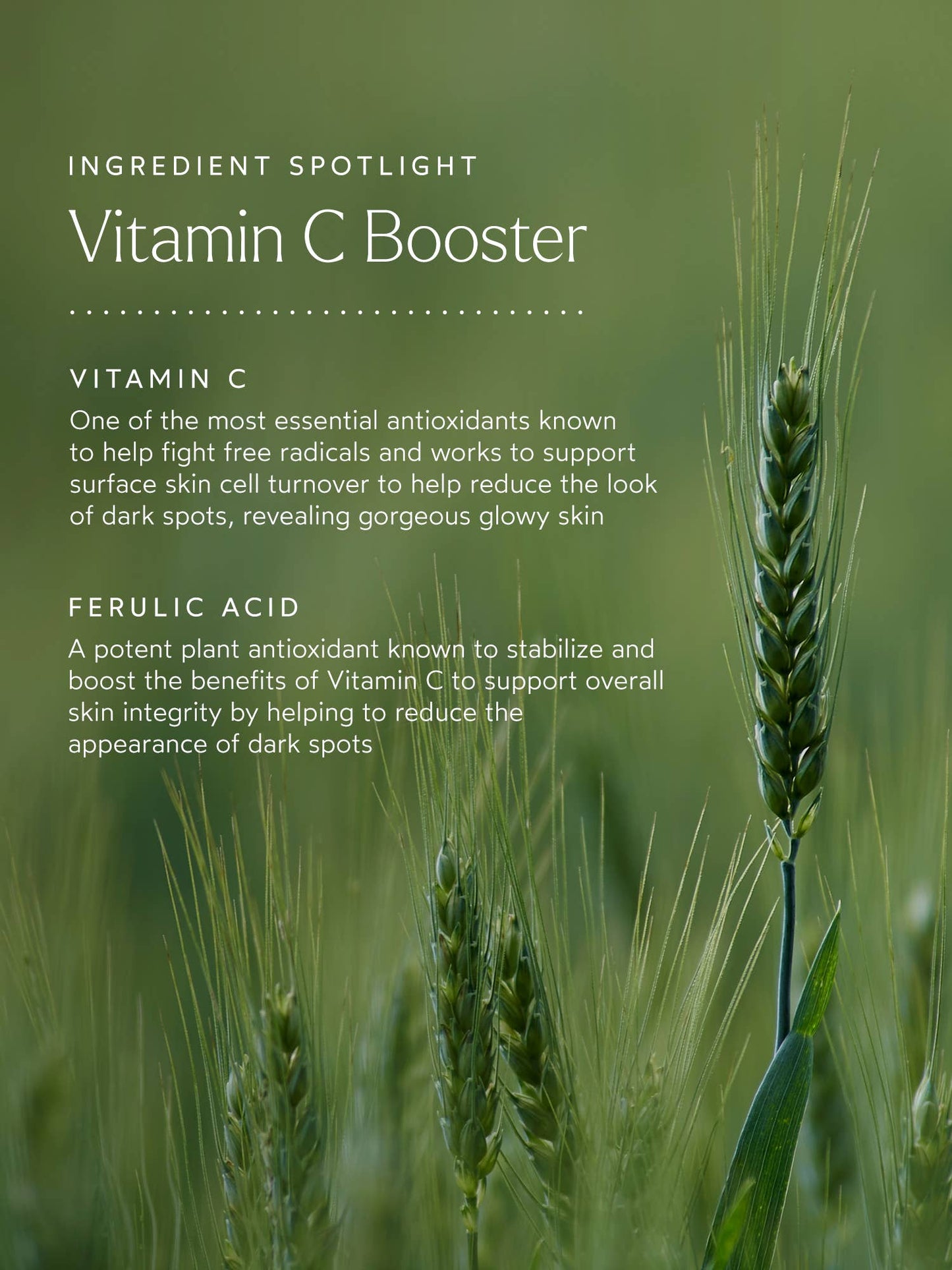 True Botanicals - Vitamin C Booster - Full Size (0.49 oz | 14 g)