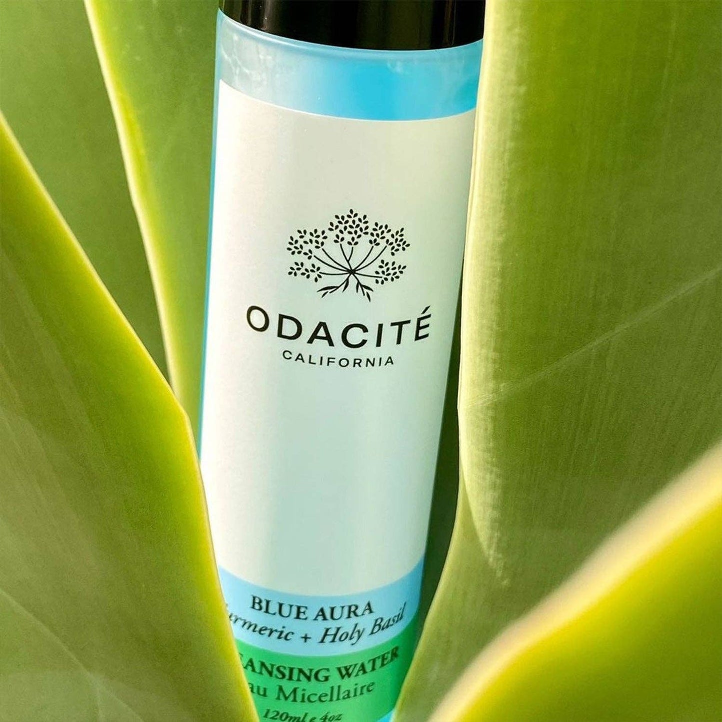 Odacité - Blue Aura Micellar Cleansing Water