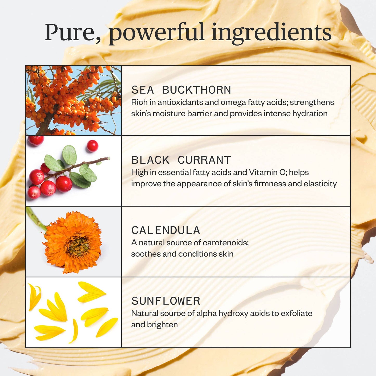 Ursa Major - Golden Hour Recovery Cream